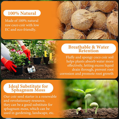 Stop Letting Poor Soil Ruin Your Plants