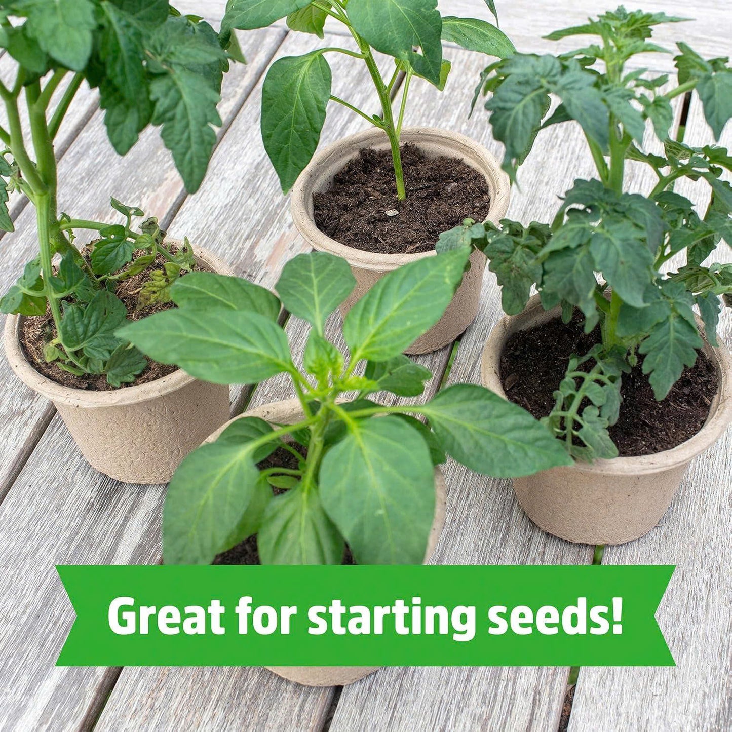 Stop Letting Poor Soil Ruin Your Plants