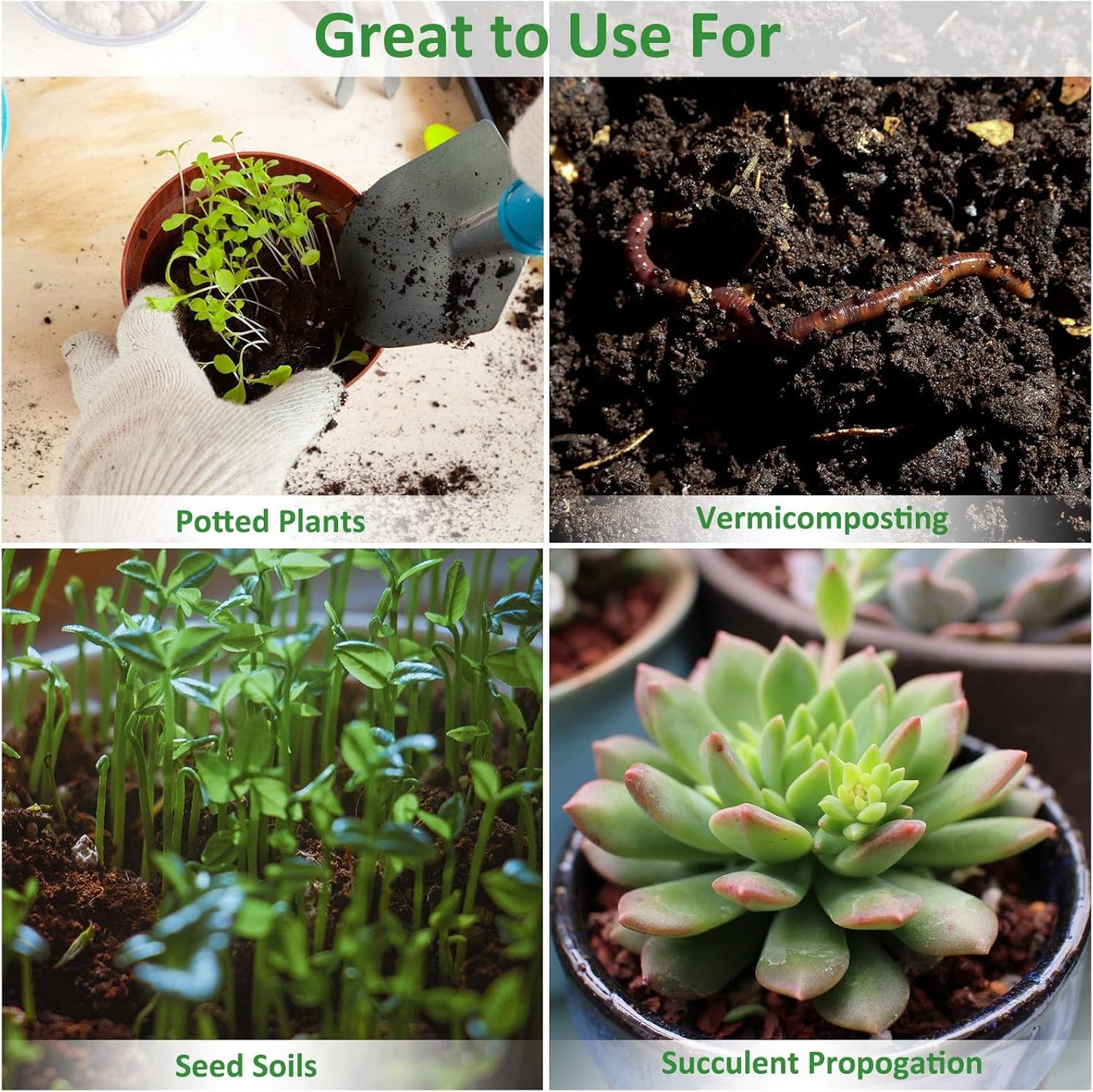 Stop Letting Poor Soil Ruin Your Plants