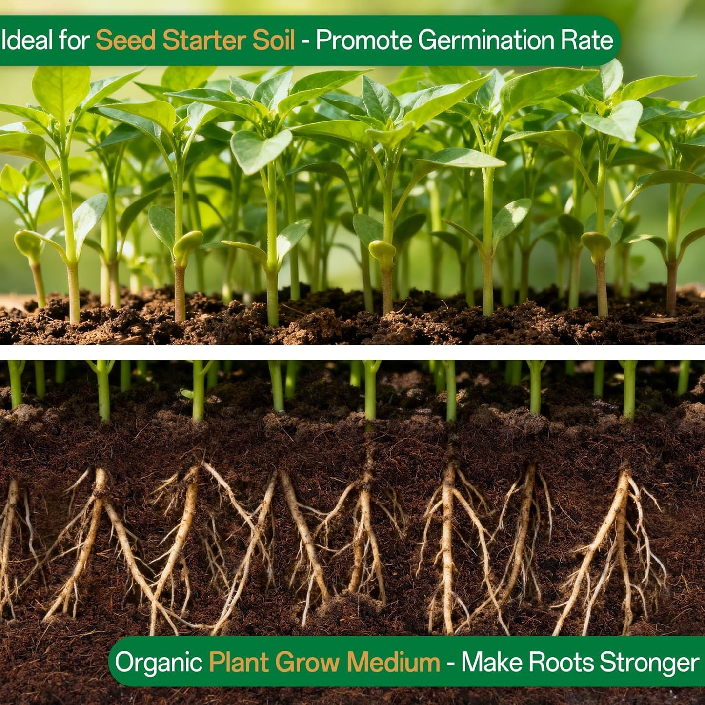 Stop Letting Poor Soil Ruin Your Plants