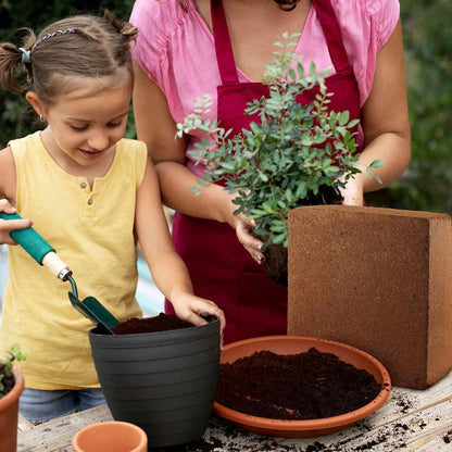 Stop Letting Poor Soil Ruin Your Plants