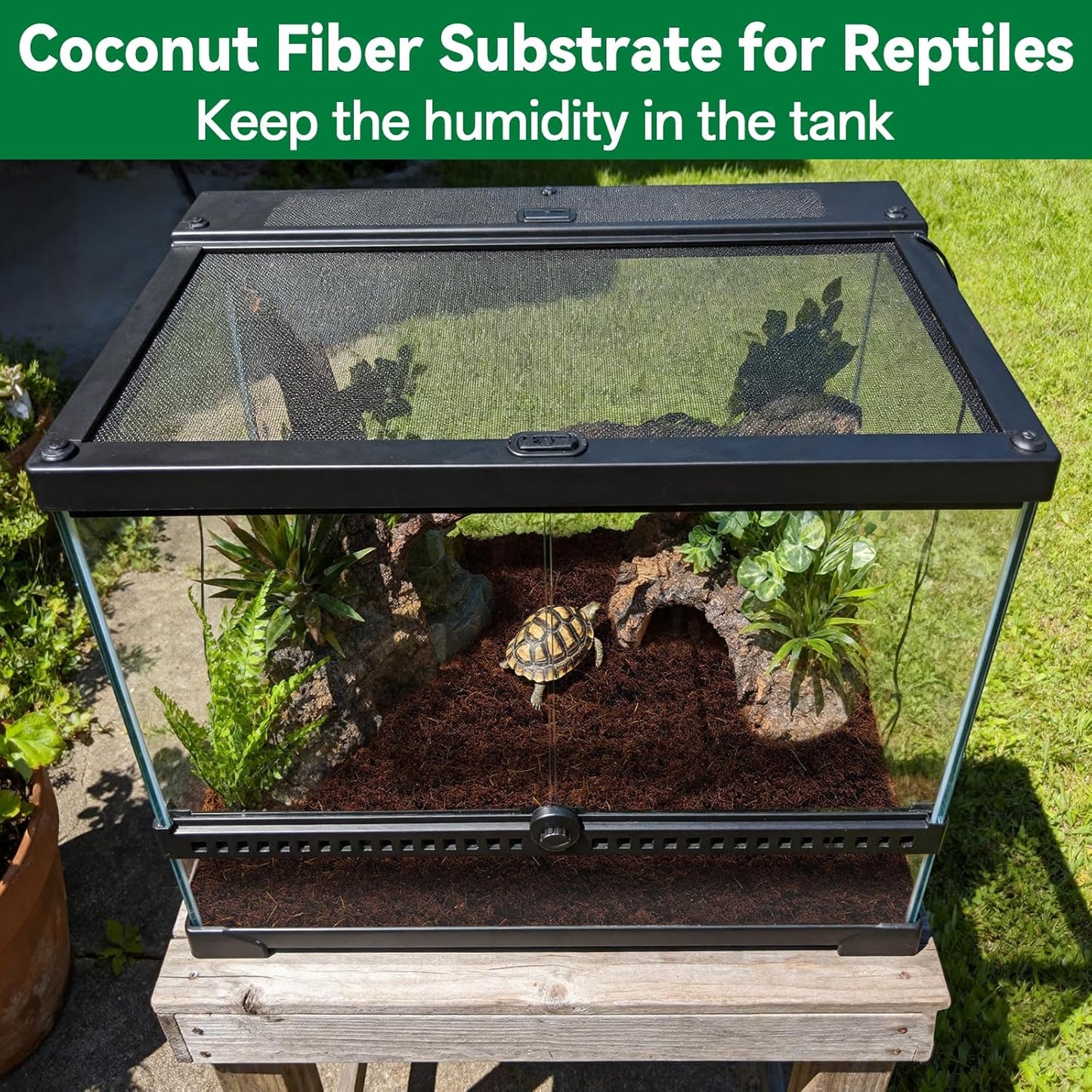 Stop Letting Poor Soil Ruin Your Plants