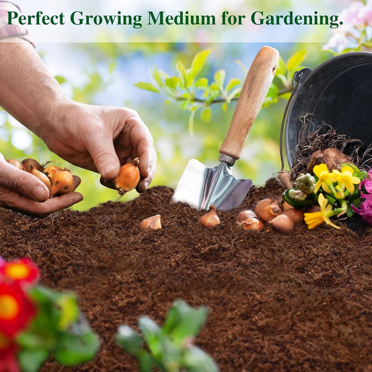 Stop Letting Poor Soil Ruin Your Plants