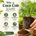 Organic Compressed Coco Coir Brick Coconut Peat Plant Grow Nutritious Soil Coconut Coir Compound Fertilizer Coconut Fiber Husk